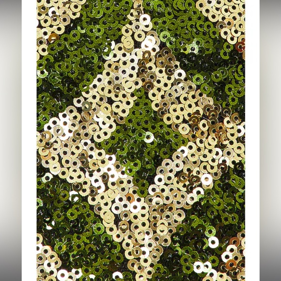 Isaura Maxi Dress
Camila Coelho

Color: Green & Silver - Picture 4 of 7